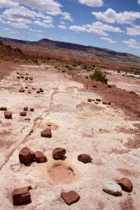 Willow Springs Tracksite