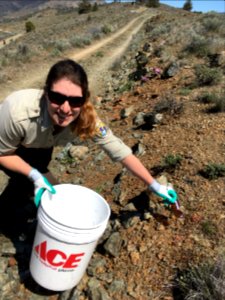 Yreka Fish and Wildlife Office’s Becca Reeves helping to pickup broken glass on China Hill