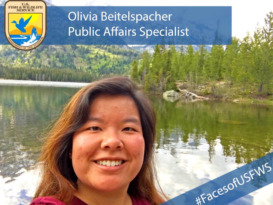 Olivia Beitelspacher