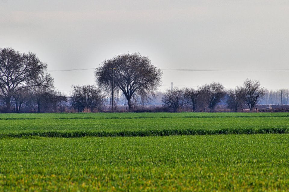 San Joaquin River National Wildlife Refuge
