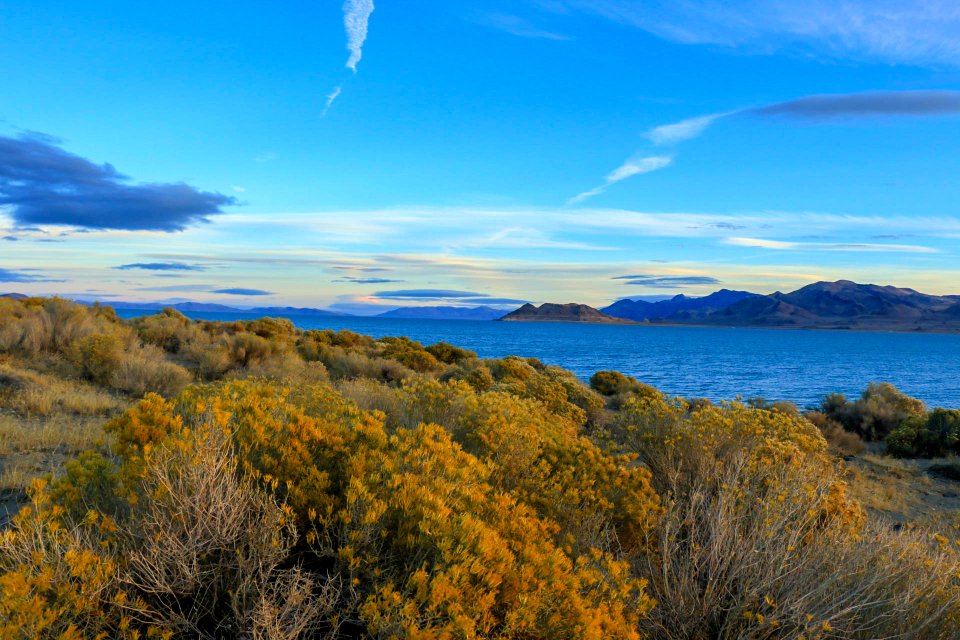 Pyramid Lake in Nevada