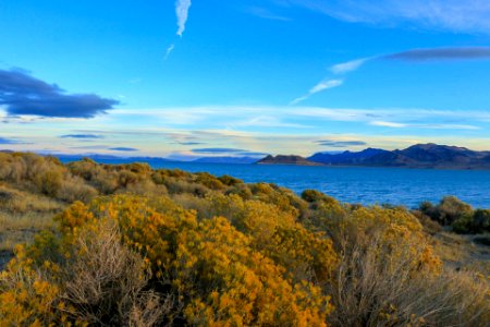 Pyramid Lake in Nevada photo