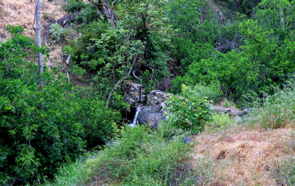 Barrier near headwaters of San Juan Creek Watershed