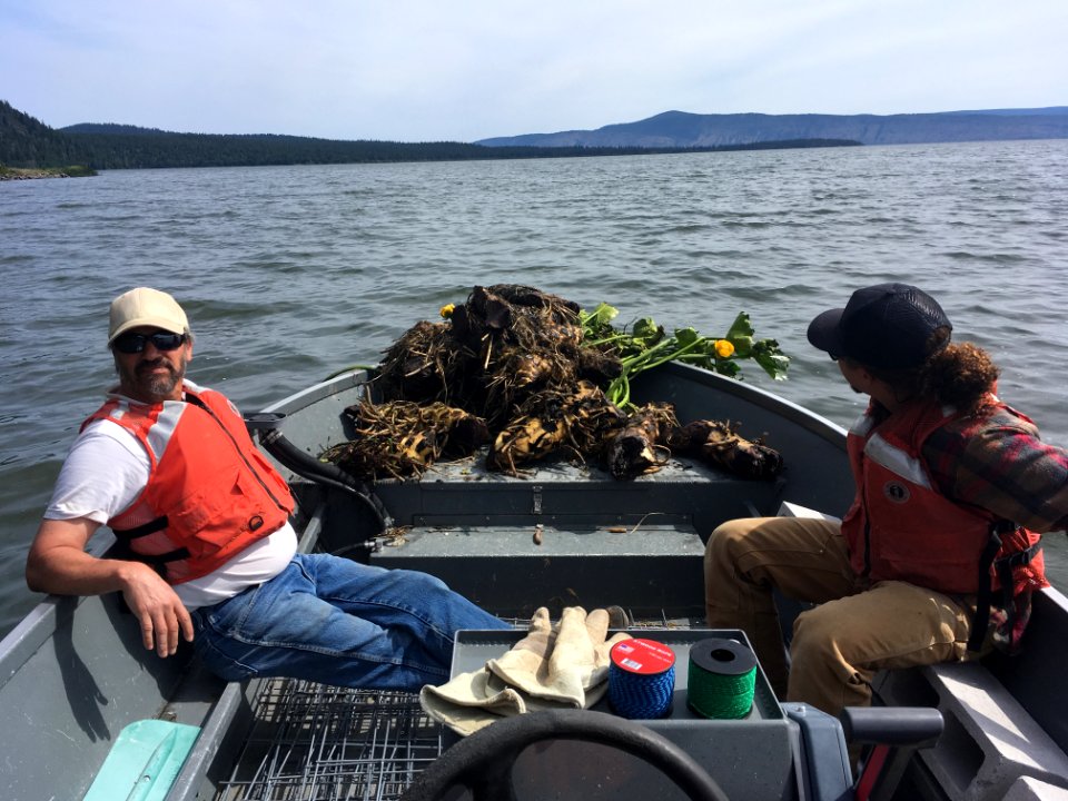 Hanging out in a boat with wocus
