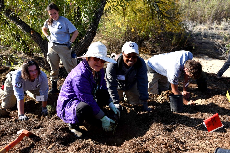 Group planting native plants