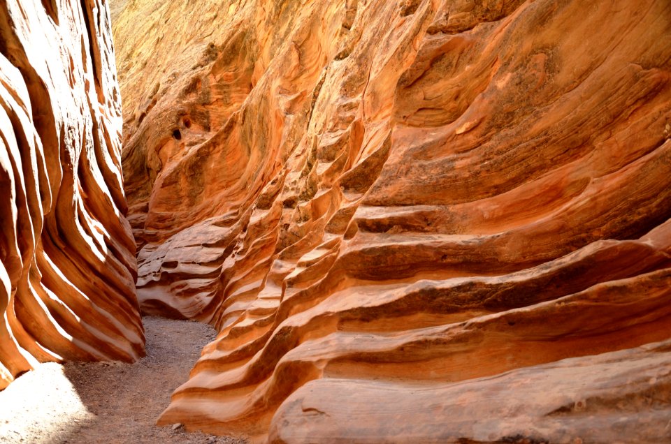 Volunteers clean up Little Wildhorse Canyon