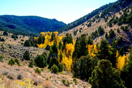 Deep Creek Mountains