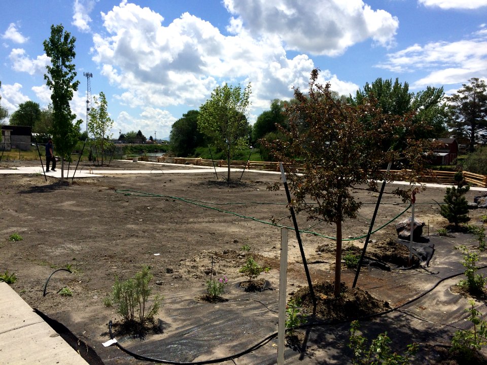 Progress on the park project