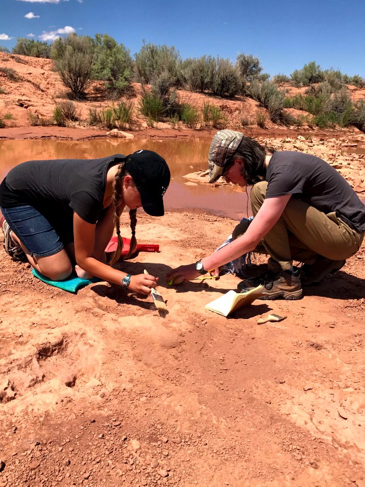 SLCSE Paleo Campers cleaning and documenting tracks at Mail Station Site near Moab
