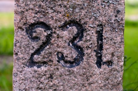 Råsten 231