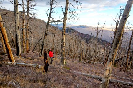 Deep Creek Mountains