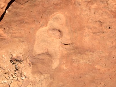 Footprints at Butler Wash photo