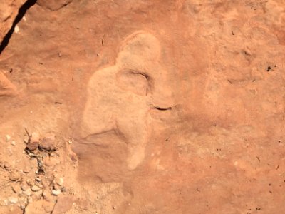 Footprints at Butler Wash