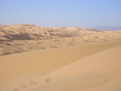 Landscape view of Algodones Dunes
