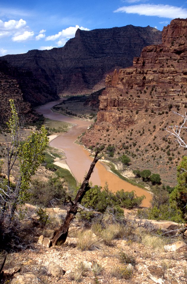 Overview of Green River stretch