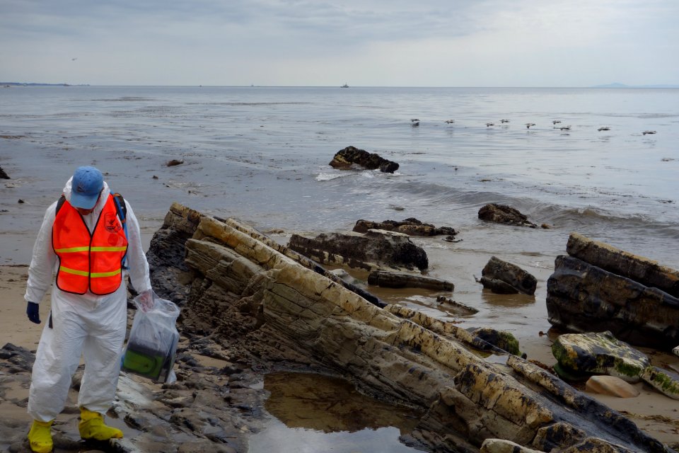 U.S. Fish and Wildlife Service biologist documents wildlife impacts at Refugio State Beach in the early days of the Refugio oil spill as a flock of California brown pelicans skim the water in the background. Photo by USFWS.