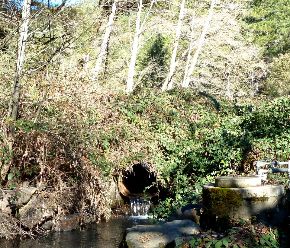 Sharber Culvert (before pic #2)