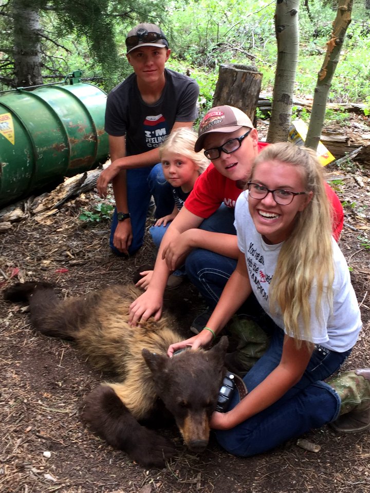 Tracking a bear in Kanab
