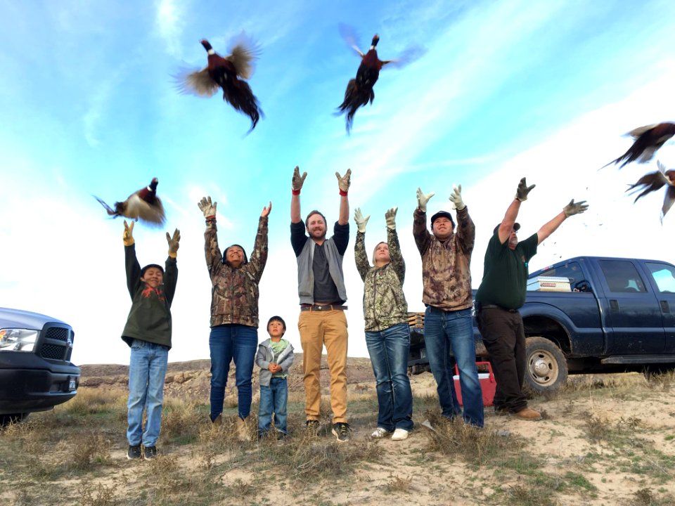 Pheasant release