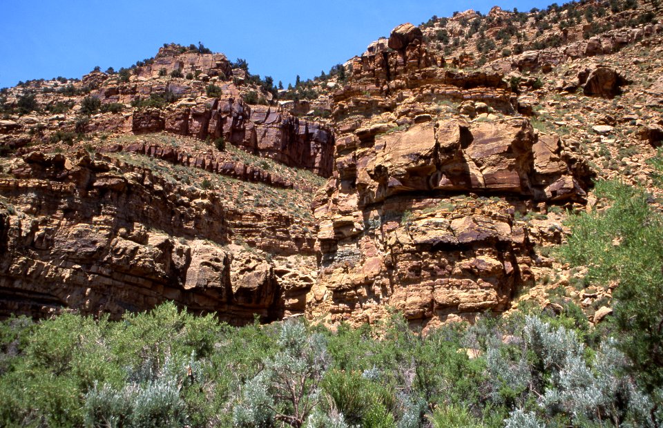 Details of rock face