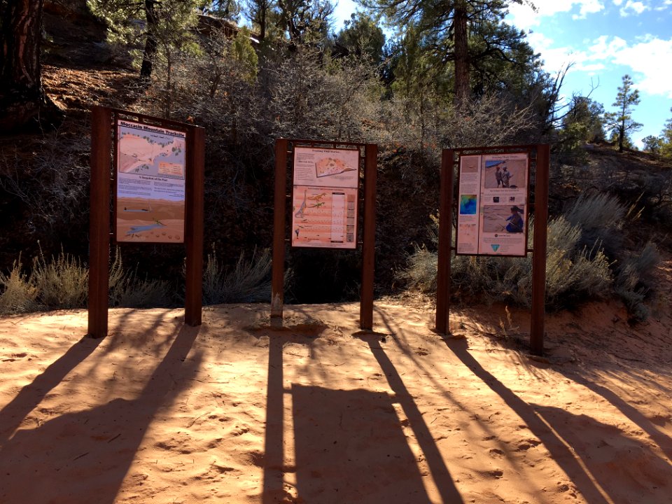Moccasin Mtn. Tracksite Signs