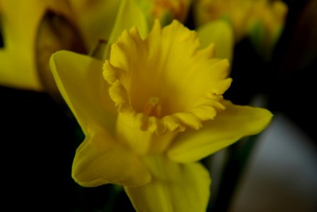 IMGP8566