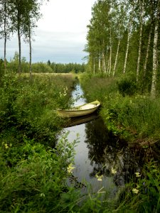 Ditched Boat photo