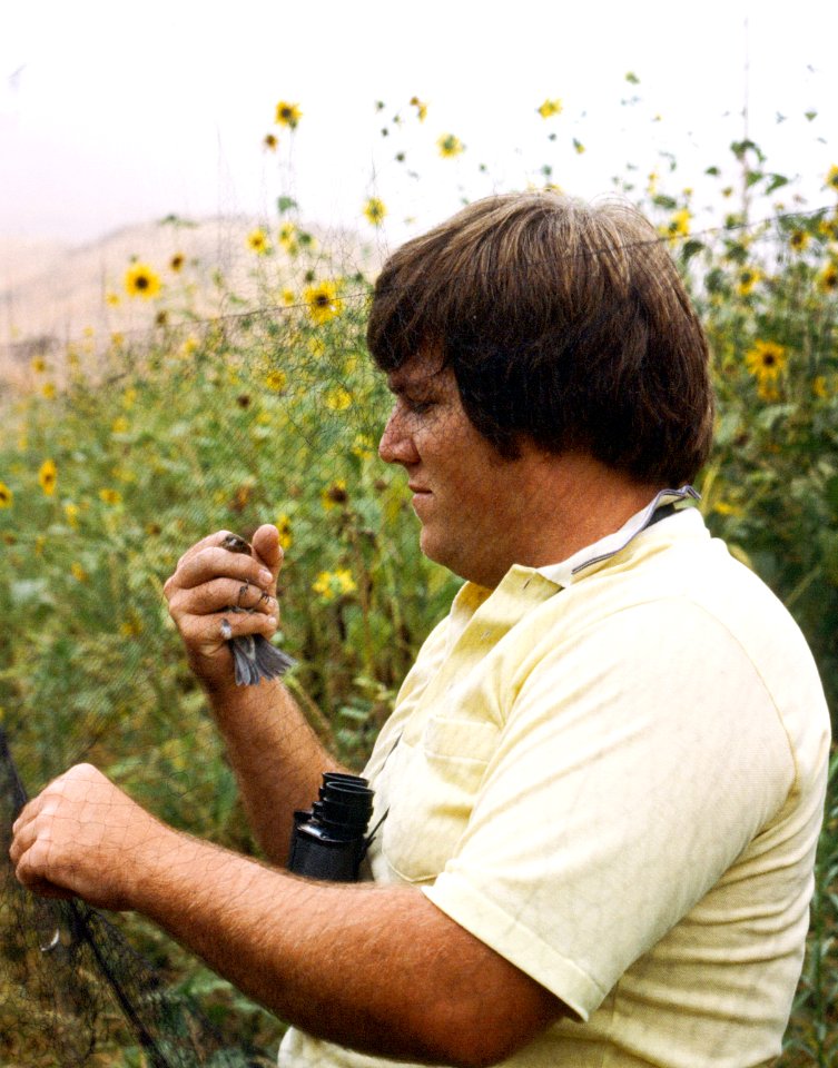 Wildlife biologist Rick Farris bird banding in 1981