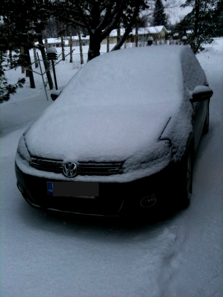 Snowy Golf