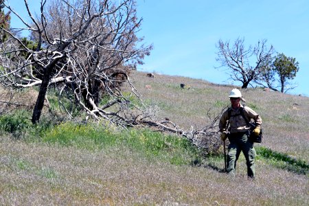 BLM Utah hosts annual Wildland Engine Operators Training at Camp Williams, Utah