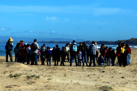 Students and teachers from Santa Rita Elementary School join Return of the Native staff at Monterey State Beach to plant native coastal dune plants and learn about the western snowy plover.