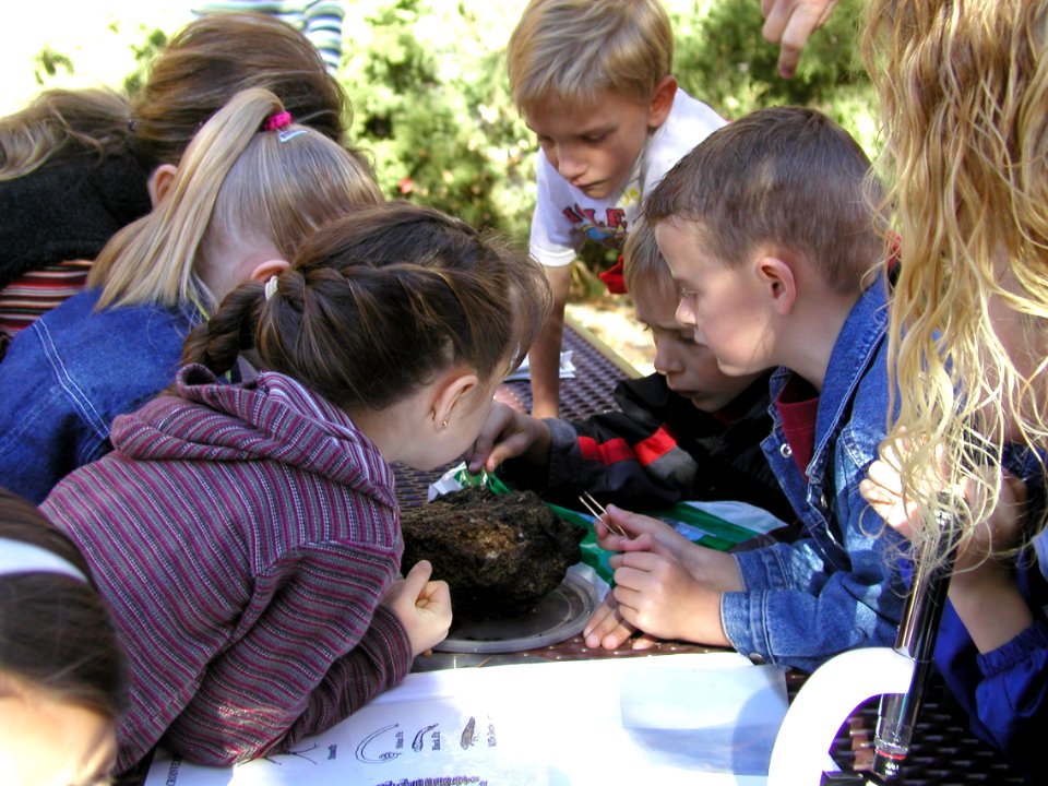 Youth study animals and soils at Richfield's Maple Grove science camp. Photo by BLM-UT