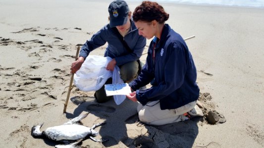 Collecting data