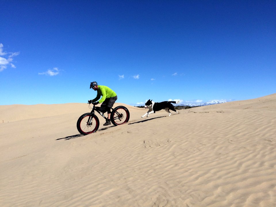 2nd Place in the Dog Friendly Category