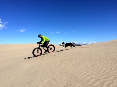 2nd Place in the Dog Friendly Category