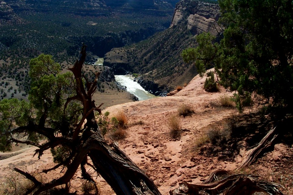Westwater Canyon WSA