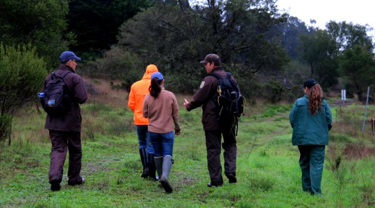 Monitoring salamander movements