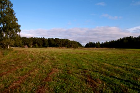 Björkheda