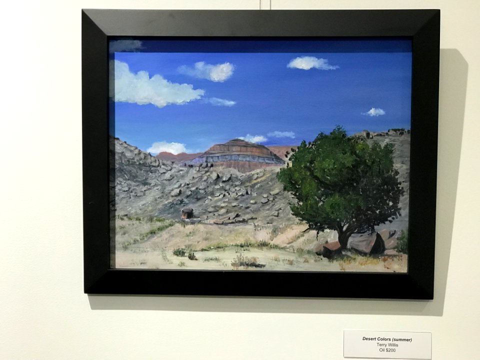 Terry Willis 2019 Cleveland Lloyd Dinosaur Quarry AIR BLM photo by Jonathan Moor  (12)