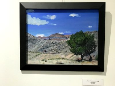 Terry Willis 2019 Cleveland Lloyd Dinosaur Quarry AIR BLM photo by Jonathan Moor  (12)