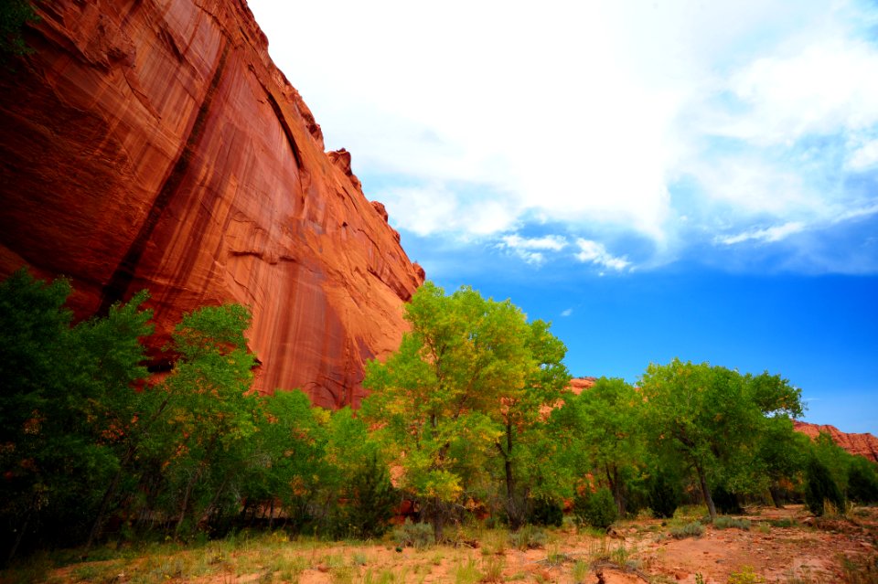 Canyon Wall