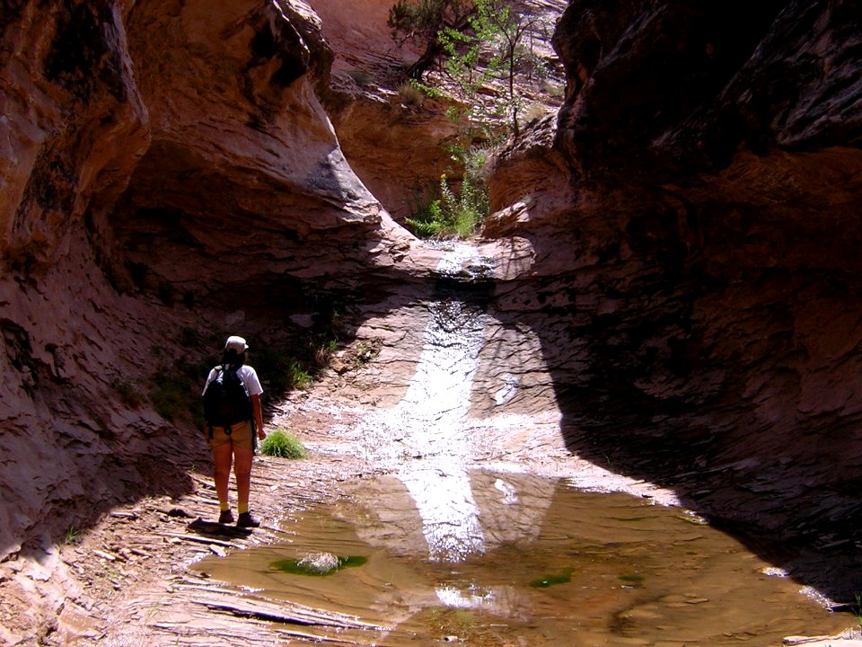 Freckle Canyon
