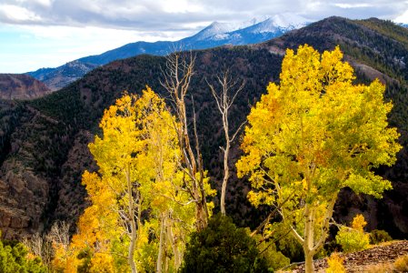 Deep Creek Mountains