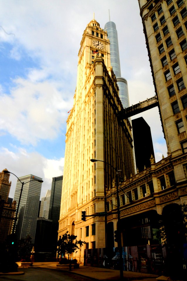 Wrigley Building with Trump Shadow