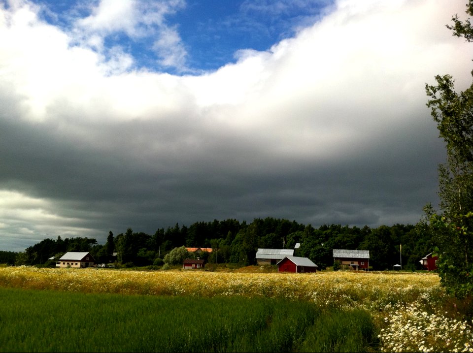 Gonna rain on us are you?
