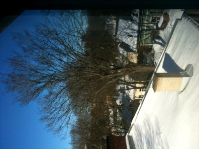 From my office