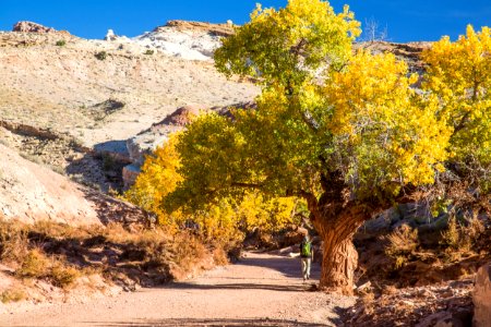 Little Wildhorse and Bell Canyons photo