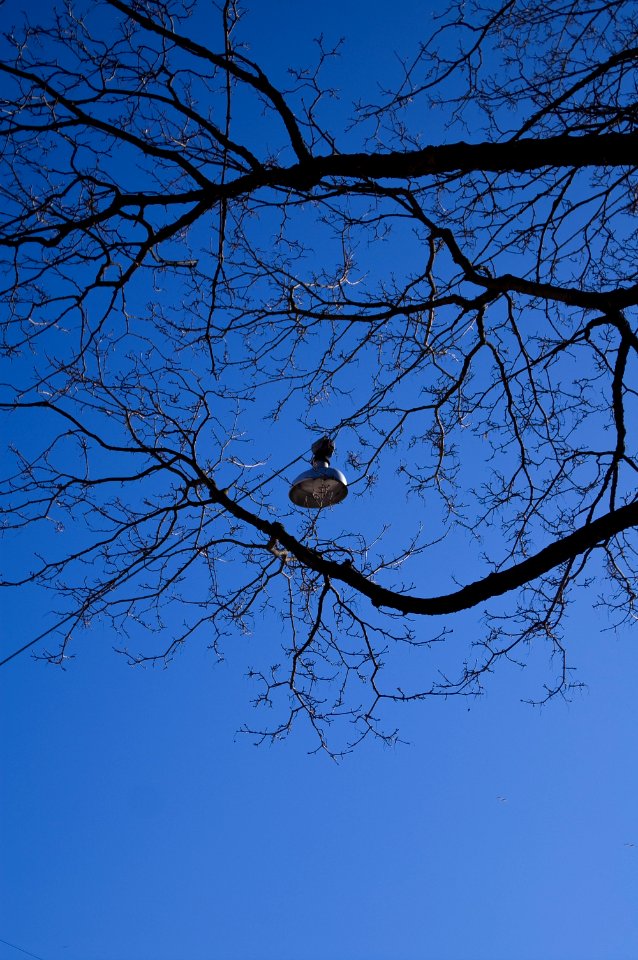 Blue skies