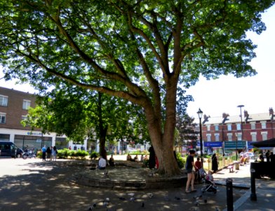 Public Square outside the former Crouch End Town Hall