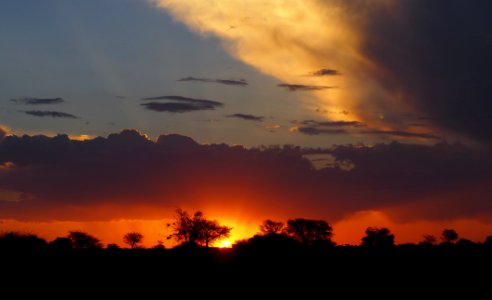 Namibia 2018-60